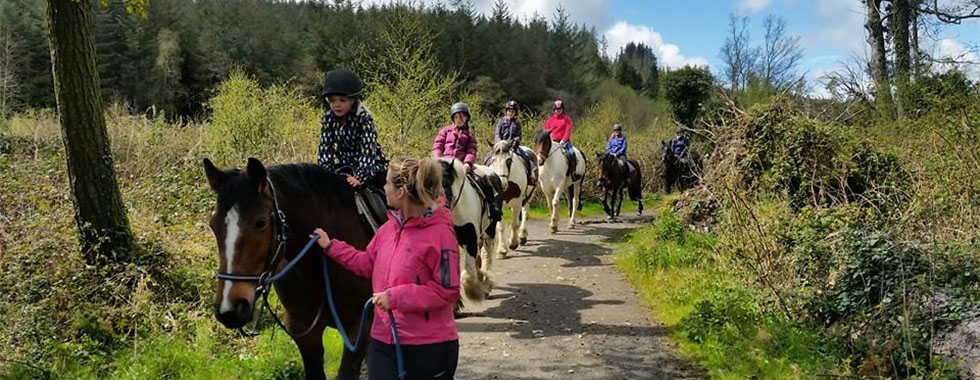 Horse Riding/Trekking Holiday Banbridge County Down - Golfkeel Self Catering